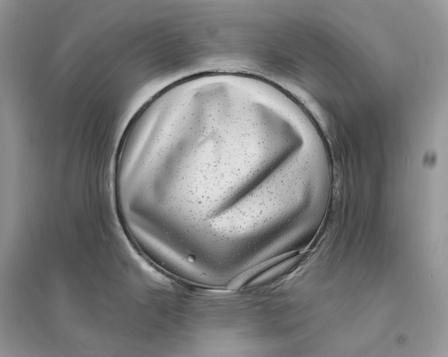 X0000094461343200711291713