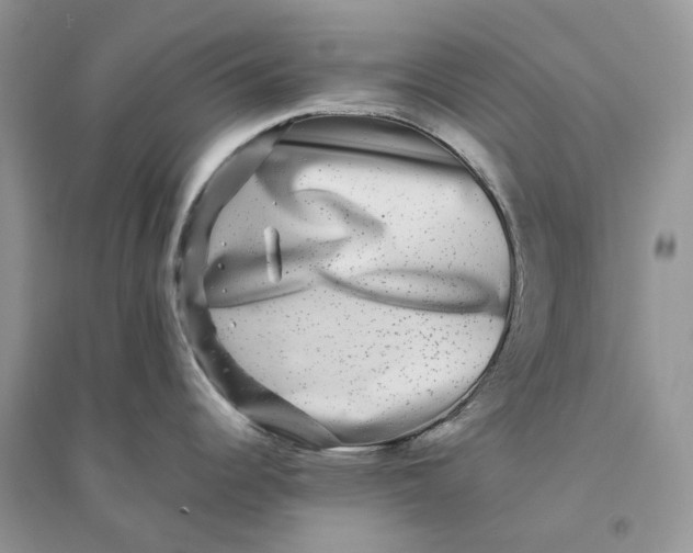 X0000094461344200711291713