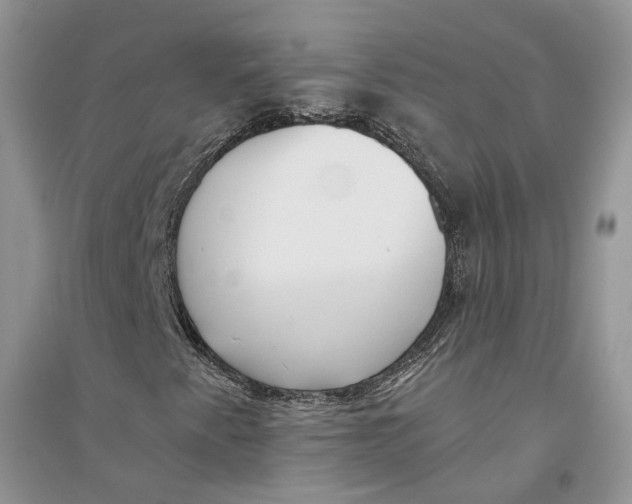 X0000094461345200711291712