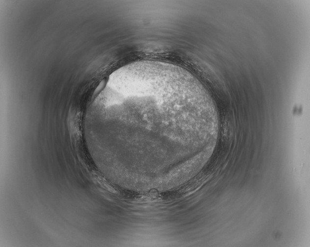 X0000094461346200711291712