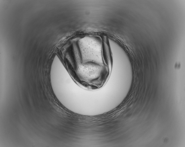 X0000094461348200711291712