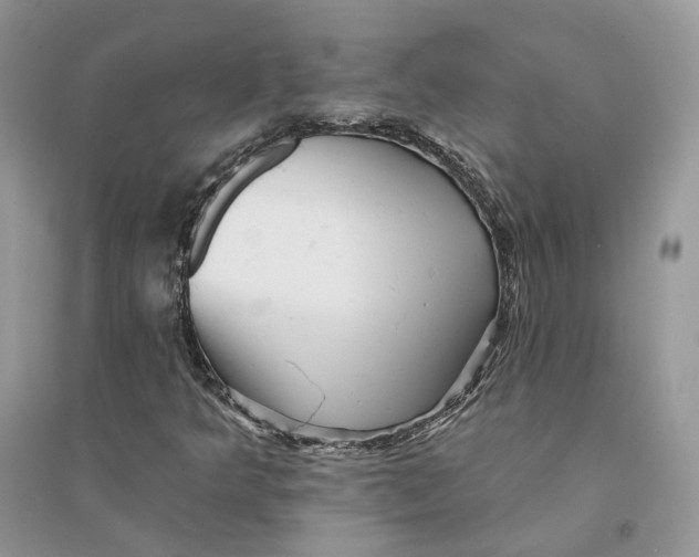 X0000094461349200711291712