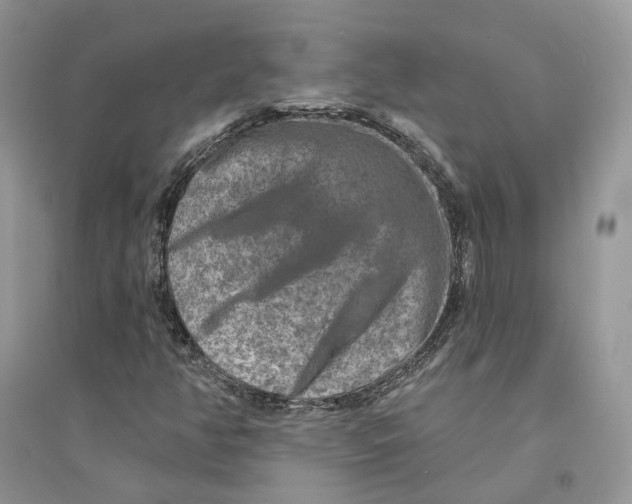 X0000094461350200711291712