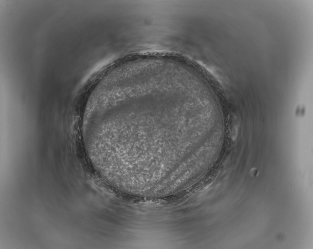 X0000094461351200711291712