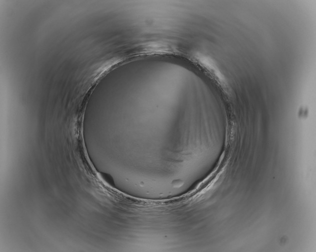 X0000094461353200711291712