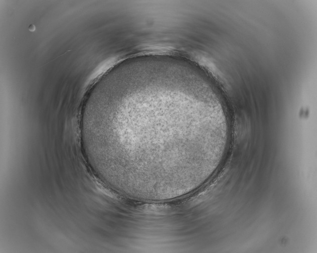 X0000094461354200711291712