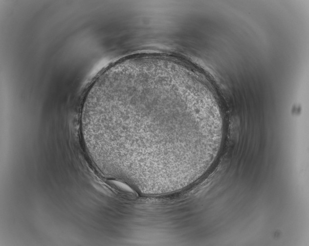 X0000094461355200711291712