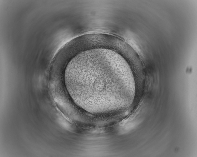 X0000094461356200711291712