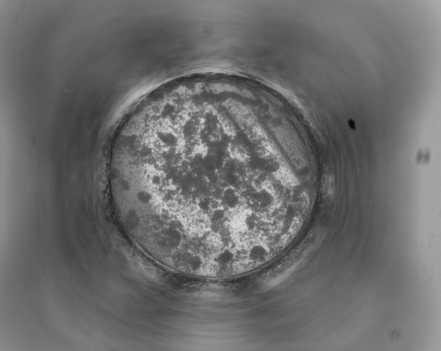 X0000094461359200711291712