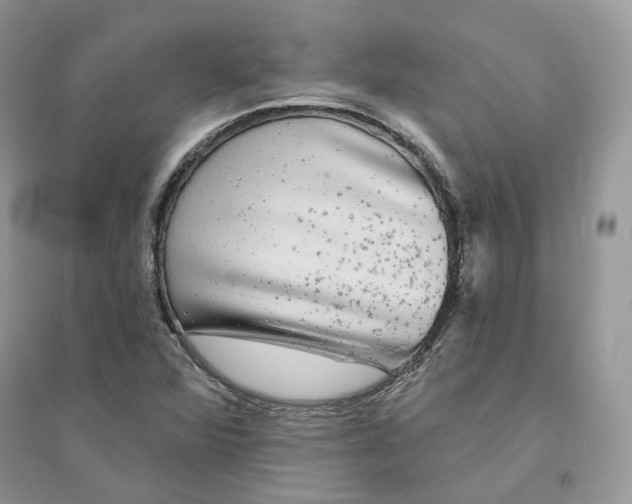 X0000094461360200711291712