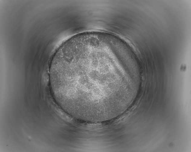 X0000094461363200711291712