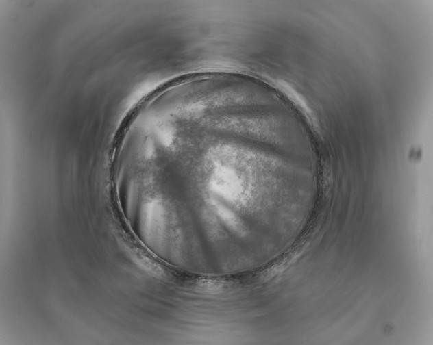 X0000094461364200711291712