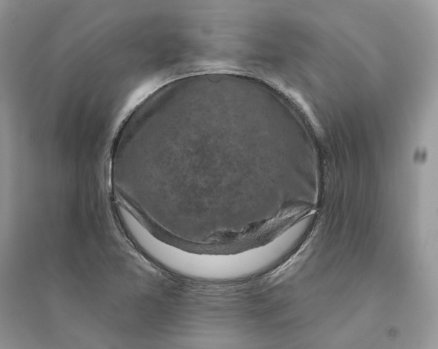 X0000094461365200711291712