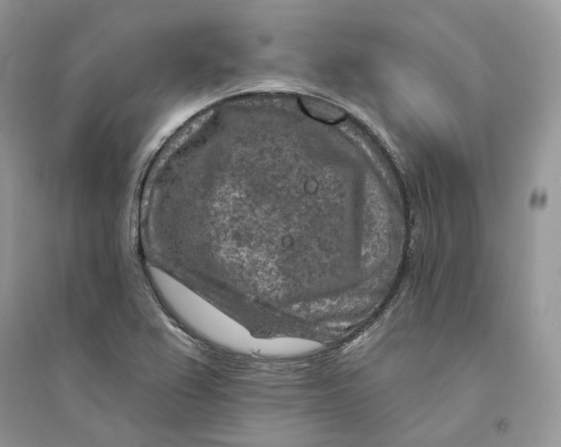 X0000094461367200711291712