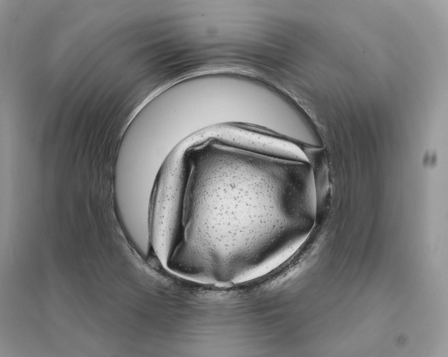 X0000094461369200711291712