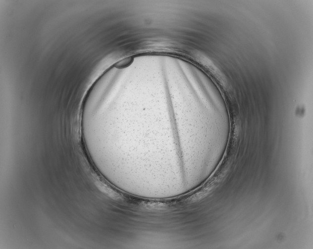 X0000094461370200711291712