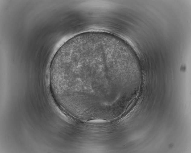 X0000094461371200711291712