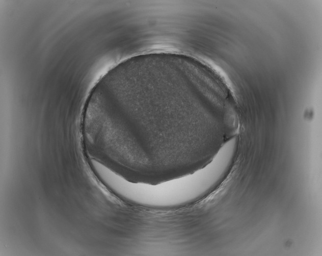 X0000094461373200711291712