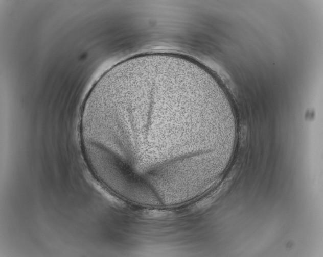 X0000094461374200711291712