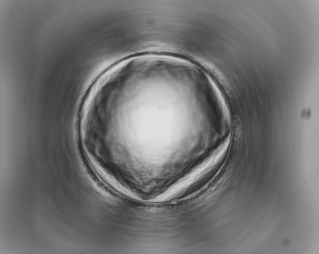 X0000094461375200711291712