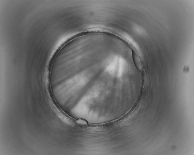 X0000094461376200711291712