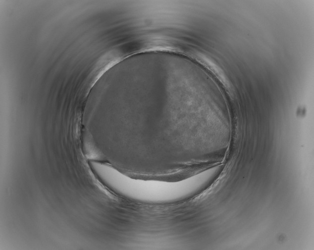 X0000094461377200711291712