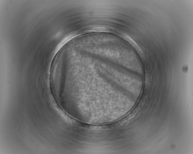 X0000094461378200711291712