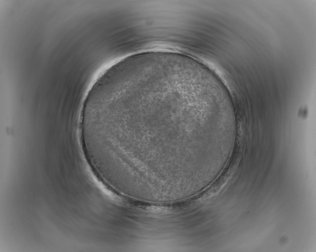 X0000094461379200711291712