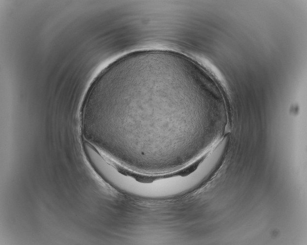 X0000094461380200711291712