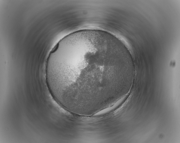 X0000094461382200711291712