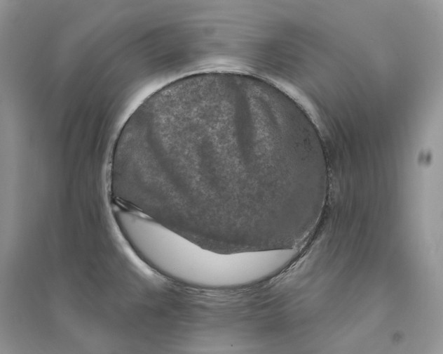 X0000094461383200711291712