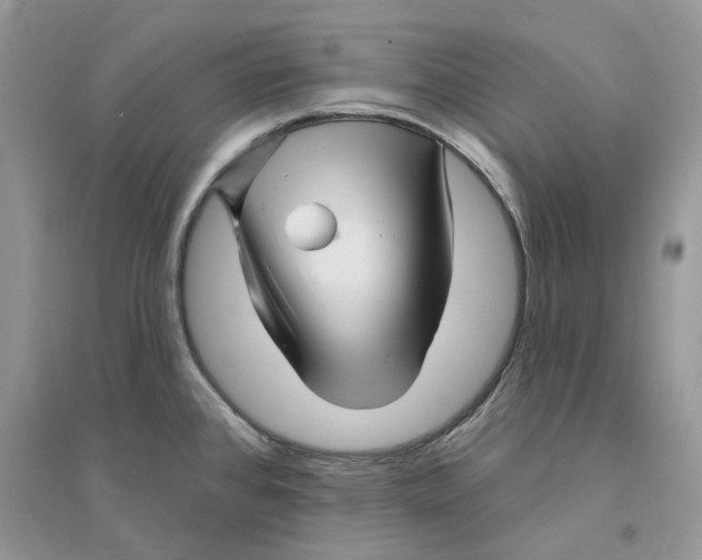 X0000094461384200711291712