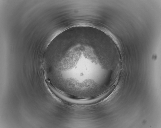 X0000094461385200711291712