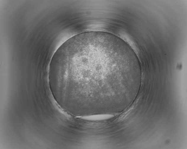 X0000094461386200711291712