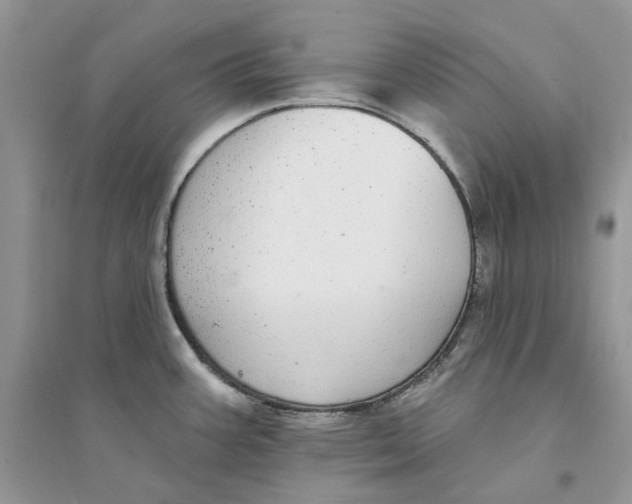 X0000094461387200711291712