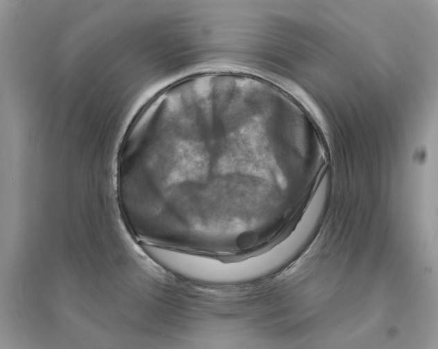 X0000094461388200711291712