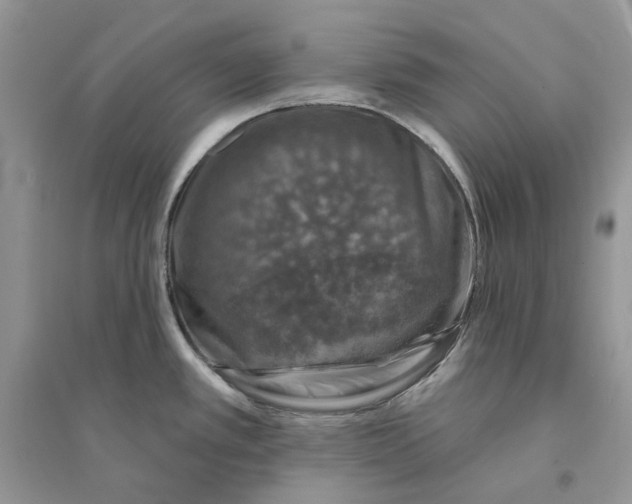 X0000094461389200711291712