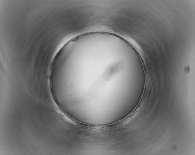 X0000094461390200711291712