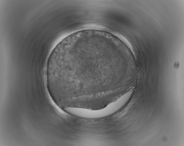 X0000094461391200711291712