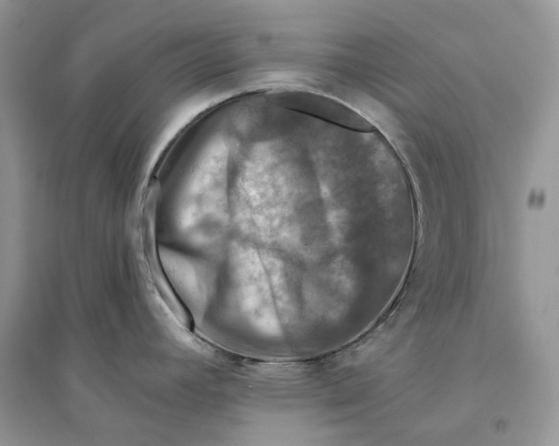 X0000094461392200711291712