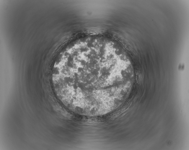 X0000094461393200711291711