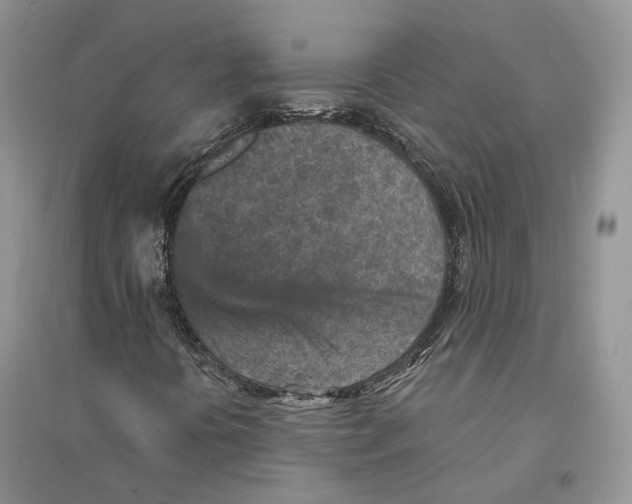 X0000094461394200711291711