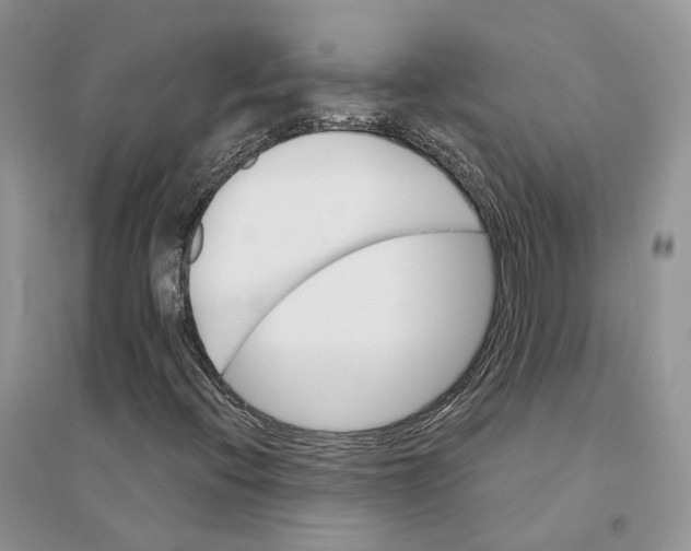 X0000094461396200711291711