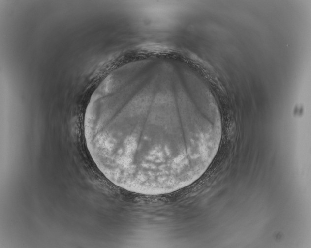 X0000094461397200711291711