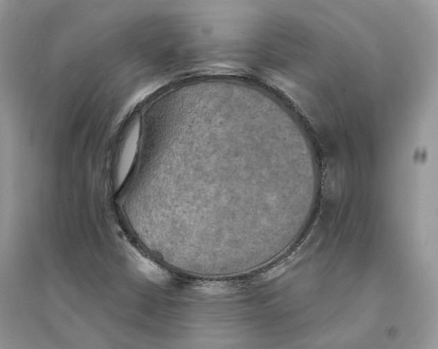 X0000094461402200711291711