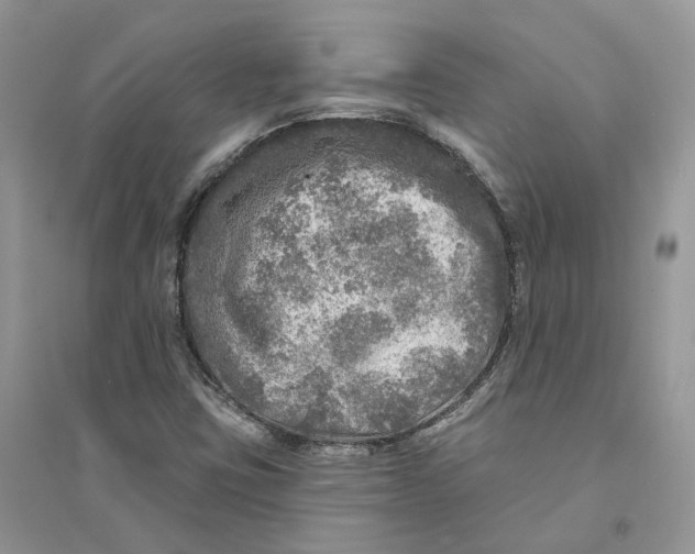 X0000094461403200711291711