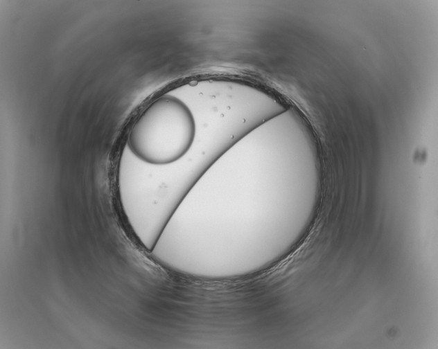 X0000094461404200711291711