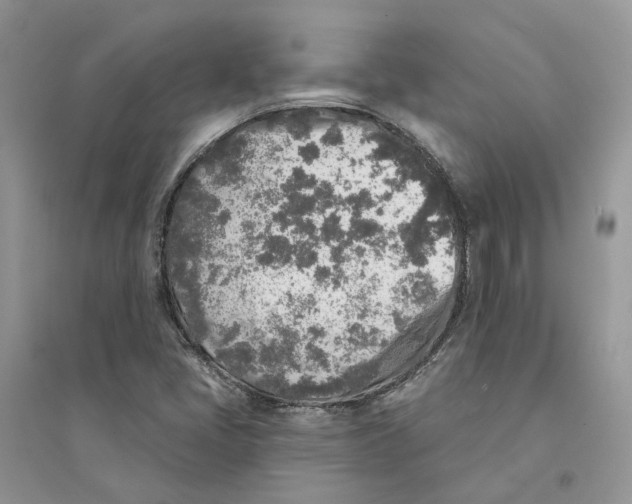 X0000094461405200711291711