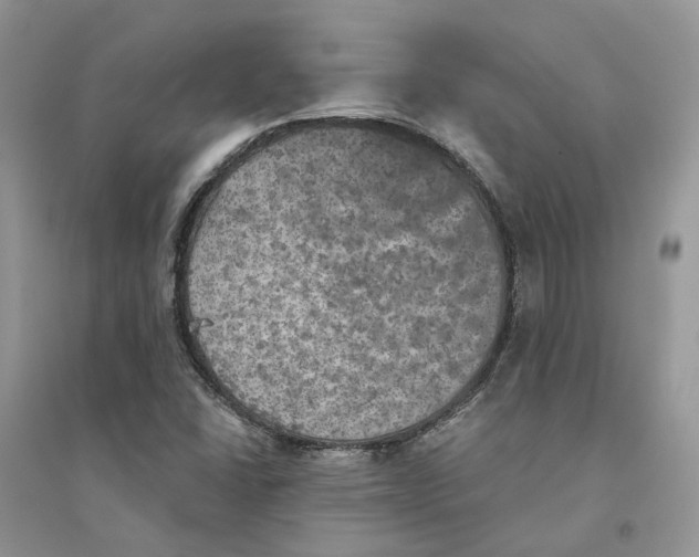 X0000094461406200711291711