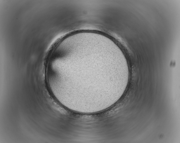 X0000094461408200711291711